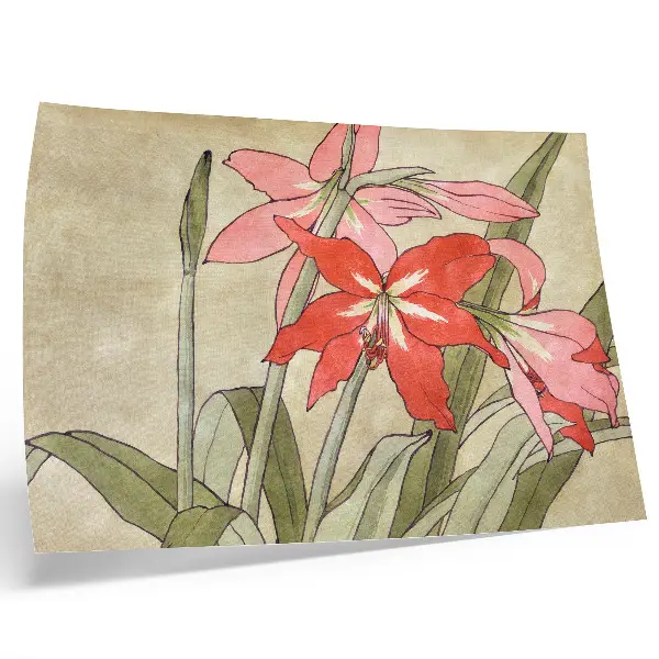Amaryllis (1915) by Hannah Borger Overbeck decorative canvas print