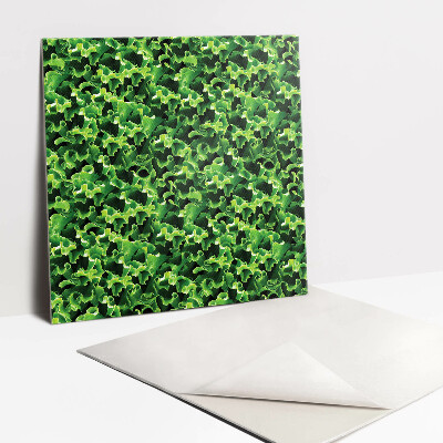 Vinyl tiles wall Green lettuce leaves