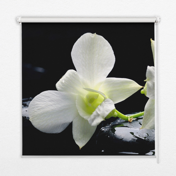 Modern roller blind Orchids and elegance