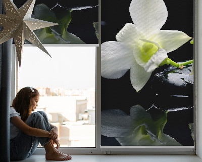 Modern roller blind orchids and elegance design