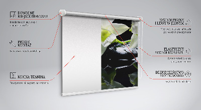 Modern roller blind Orchids and elegance