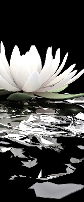 Roller blind for large window Water lilies on the surface