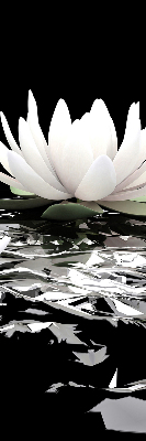 Roller blind for large window Water lilies on the surface