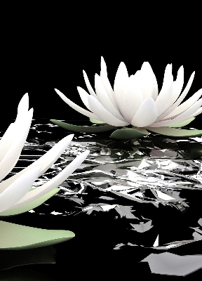 Roller blind for large window Water lilies on the surface