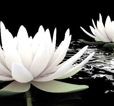 Roller blind for large window Water lilies on the surface