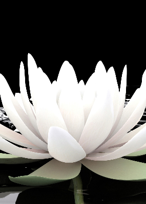 Roller blind for large window Water lilies on the surface