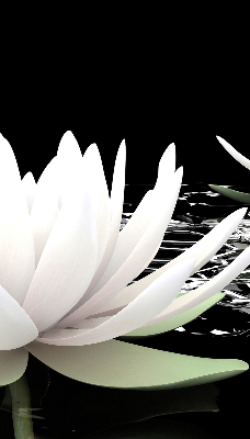 Roller blind for large window Water lilies on the surface