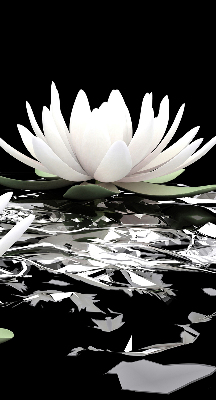 Roller blind for large window Water lilies on the surface