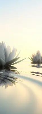 Fabric roller blind water lilies pattern