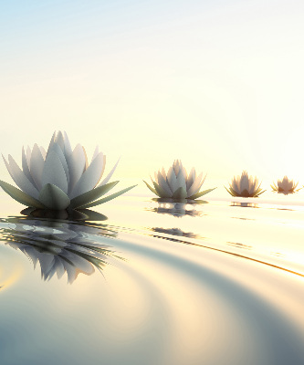 Fabric roller blind Water lilies
