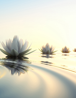 Fabric roller blind Water lilies