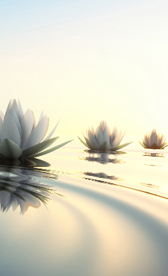 Fabric roller blind Water lilies