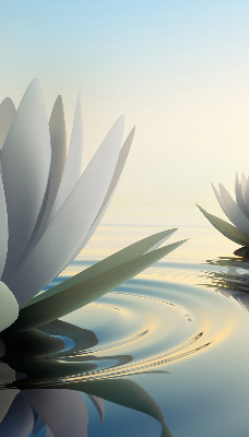 Fabric roller blind Water lilies
