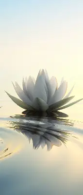 Fabric roller blind water lilies pattern