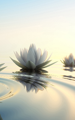 Fabric roller blind Water lilies