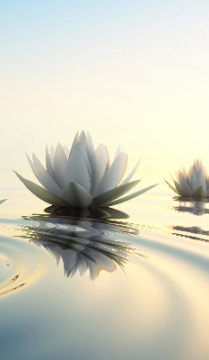 Fabric roller blind Water lilies