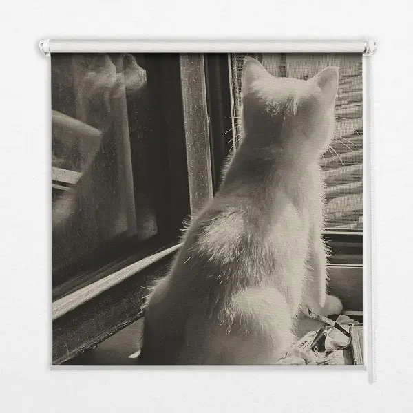 Fabric roller blind cats in the window pattern