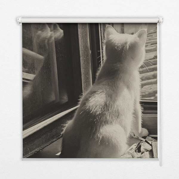 Fabric roller blind Cats in the window