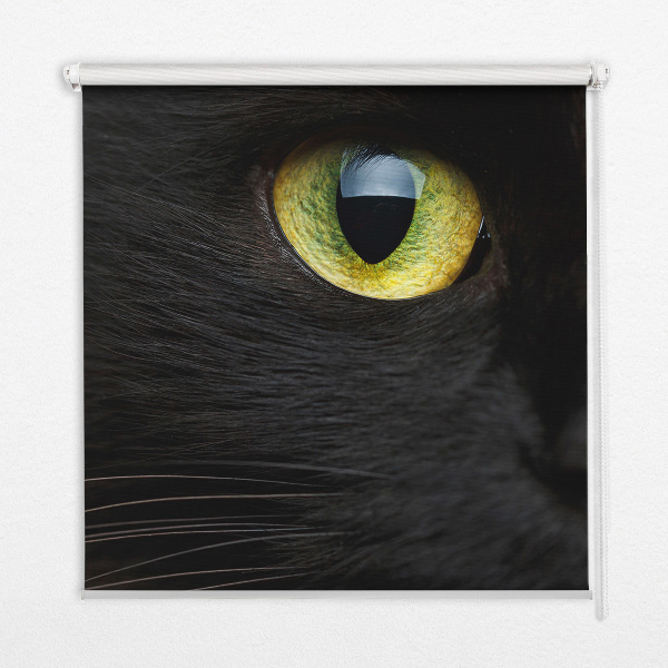 Modern roller blind Cat eyes