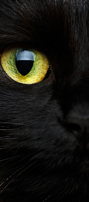 Modern roller blind Cat eyes