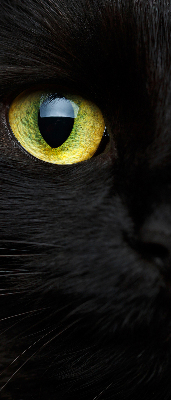 Modern roller blind Cat eyes