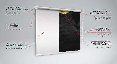 Modern roller blind Cat eyes