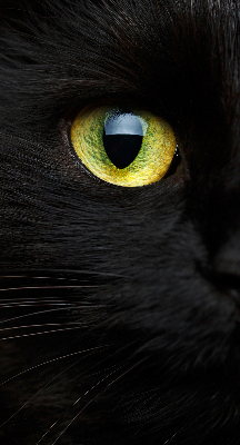 Modern roller blind Cat eyes
