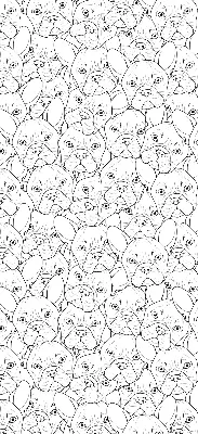 Roller blind for large window drawn dogs pattern
