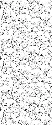Roller blind for large window drawn dogs pattern