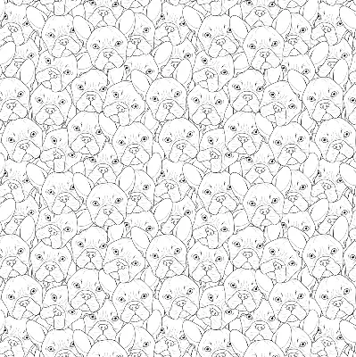 Roller blind for large window drawn dogs pattern