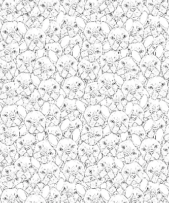 Roller blind for large window drawn dogs pattern