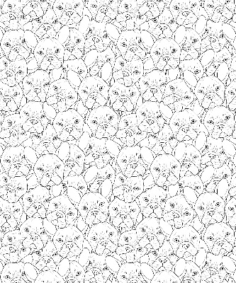 Roller blind for large window Drawn dogs