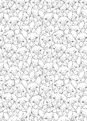 Roller blind for large window drawn dogs pattern