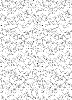 Roller blind for large window Drawn dogs