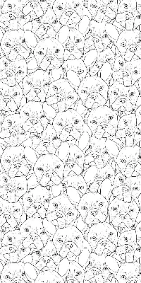 Roller blind for large window drawn dogs pattern