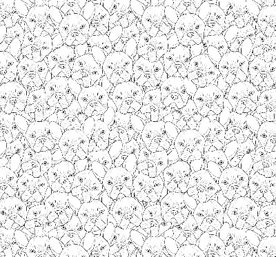 Roller blind for large window drawn dogs pattern