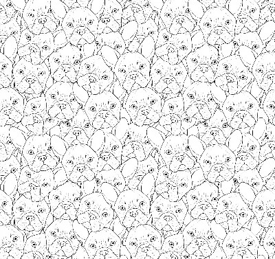 Roller blind for large window drawn dogs pattern