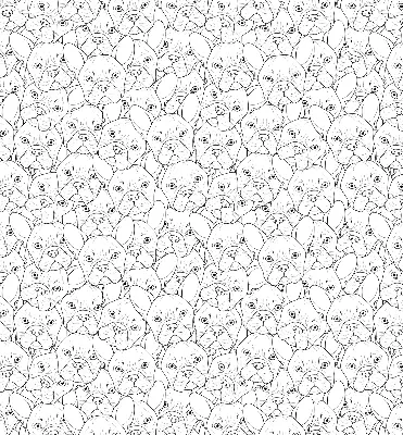 Roller blind for large window drawn dogs pattern