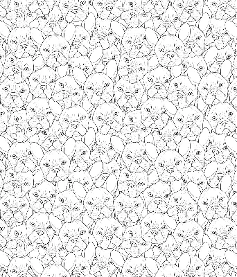 Roller blind for large window drawn dogs pattern