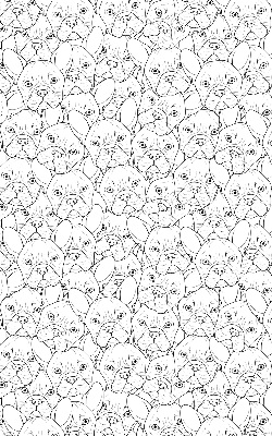 Roller blind for large window Drawn dogs