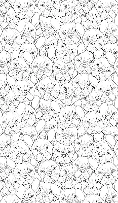 Roller blind for large window drawn dogs pattern