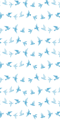 Modern roller blind Blue birds