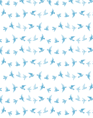 Modern roller blind Blue birds