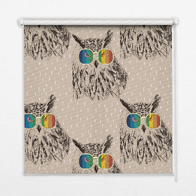 Roller blind for large window with owls wearing colorful glasses