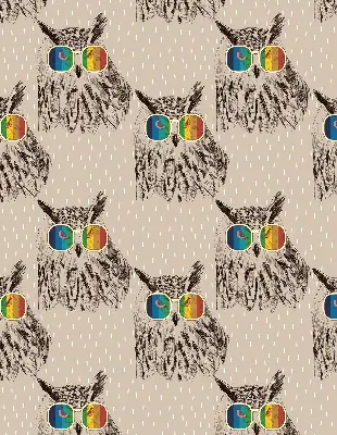 Roller blind for large window with owls wearing colorful glasses