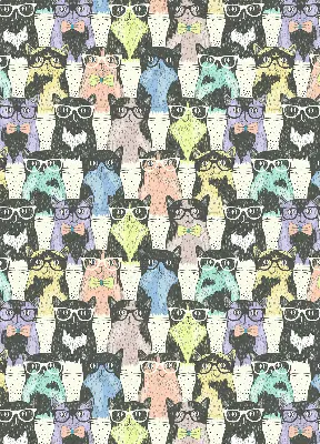 Roller blind for large window cats design