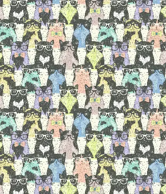 Roller blind for large window cats design