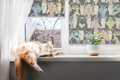 Roller blind for large window Cats