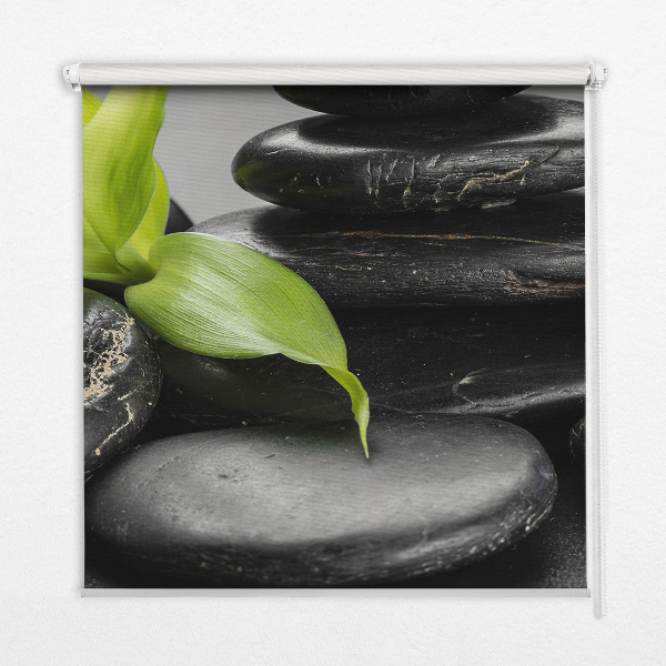 Modern roller blind Orchid on the stones
