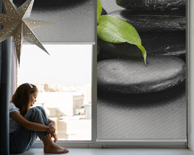 Modern roller blind Orchid on the stones